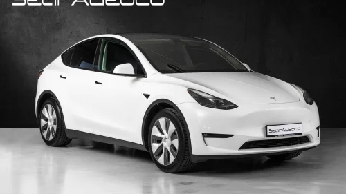 TESLA Model Y Long Range AWD/Premium/Krok/Pano/Oppv.ratt/Berlin/++