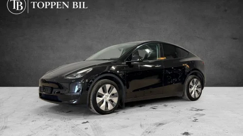 TESLA Model Y | Long Range AWD| Krok | Navi | Skinn