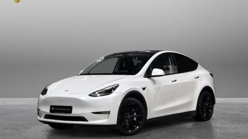 TESLA Model Y Long Range/Dual Motor/Autopilot/Krok/Varmepumpe/Berlin