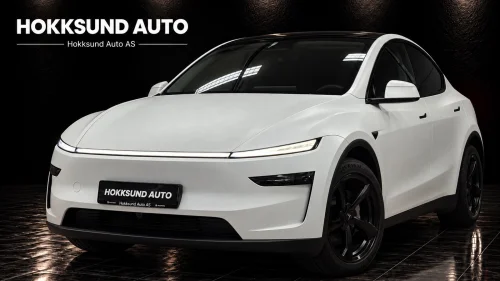 TESLA Model Y Long Range AWD JUNIPER/PPF/1 Eier/AP/19"S+V/H.Feste