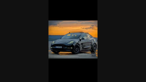 TESLA Model Y Performance AWD