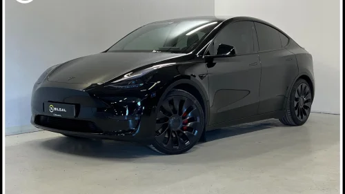 TESLA Model Y Performance 4x4 534HK HelSort Carbon 21tom HiFi PenBil
