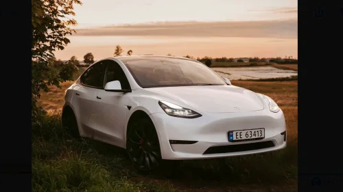 TESLA Model Y Performance AWD