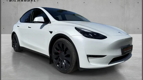 TESLA Model Y Performance