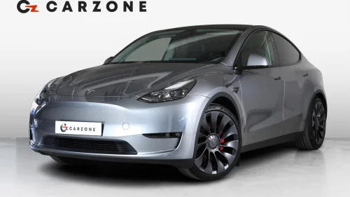 TESLA Model Y PERFORMANCE/AP/SKINN/HIFI/VINTER/KROK/21"+21"/HW4