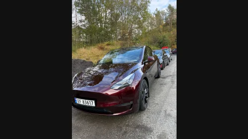 TESLA Model Y Performance AWD