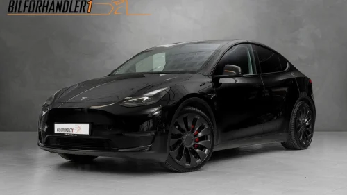 TESLA Model Y Performance Autopilot/Premium lydsystem/2x21"