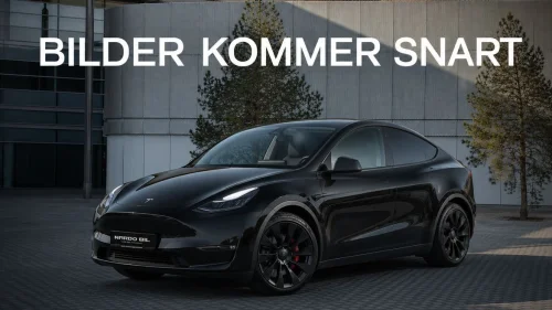 TESLA Model Y LR AWD Performance/Krok/Matrix/Enhanced Autopilot