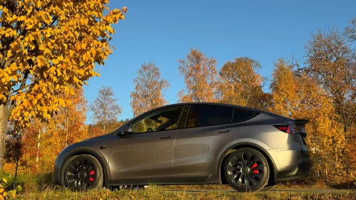 TESLA Model Y Performance AWD