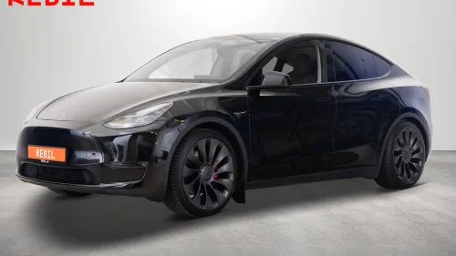 TESLA Model Y Perfomance 21''+21'' Ryzen Autopilot Krok