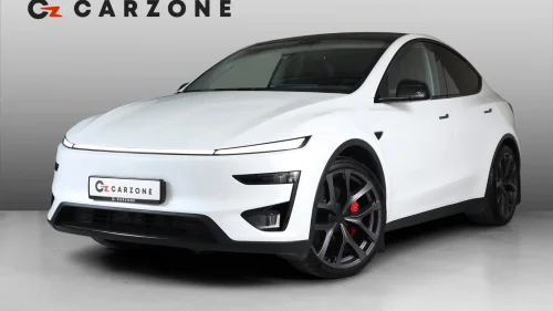 TESLA Model Y PERFORMANCE JUNIPER/AP/SKINN/HIFI/VINTER/KROK/21"+21"