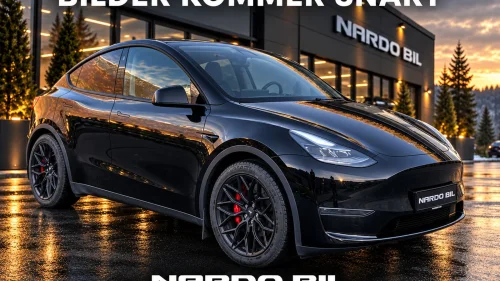 TESLA Model Y AWD Performance/Krok/Matrix/Autopilot