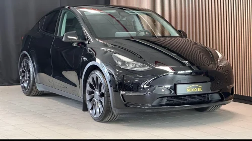 TESLA Model Y Performance