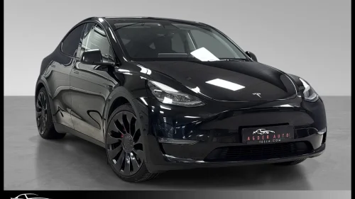 TESLA Model Y Performance AWD Skinn/Kamera/ACC/Hengerfeste/AP/21+20