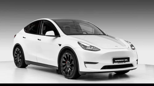 TESLA Model Y LR AWD Performance/Krok/Matrix