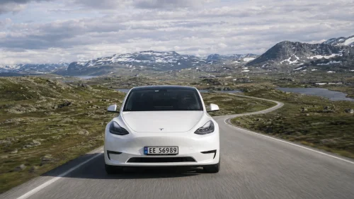 TESLA Model Y Performance AWD