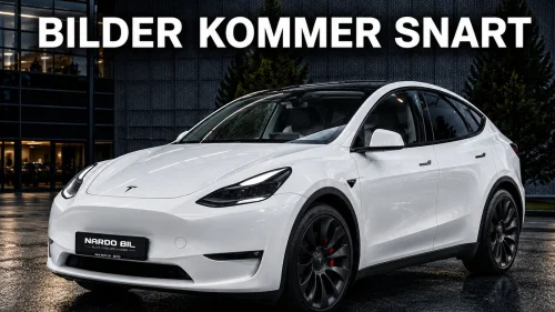 TESLA Model Y AWD Performance/21''/Krok/Matrix/Autopilot