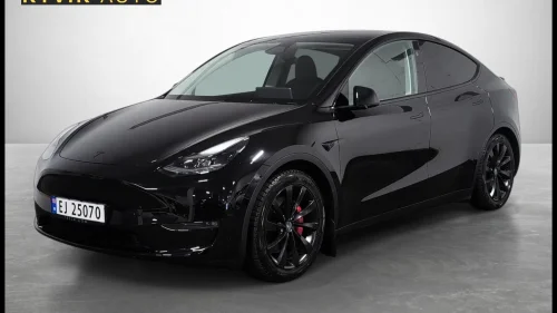 TESLA Model Y Performance