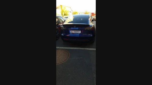 TESLA Model Y Performance AWD