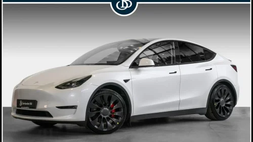 TESLA Model Y PERFORMANCE AWD / AP / KROK / PREMIUM / 2x 21"