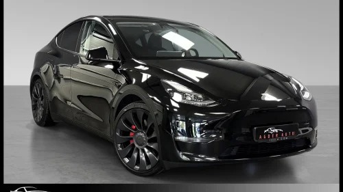 TESLA Model Y Performance AWD Skinn/Kamera/ACC/Hengerfeste/AP/2x21"