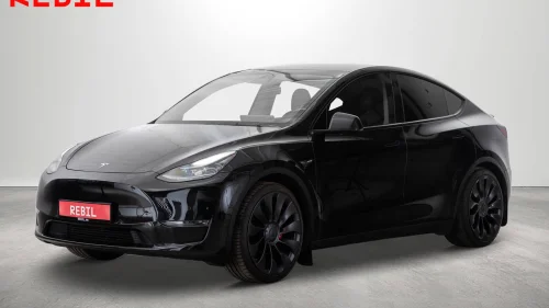 TESLA Model Y Performance Autopilot/V.Pumpe/AWD/Ryzen/2x 21''/Krok