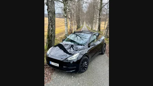 TESLA Model Y Performance AWD