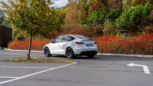 TESLA Model Y Performance