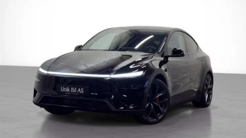TESLA Model Y PERFORMANCE/ JUNIPER/ 2x 21  ARACHNID/ KROK/ AP