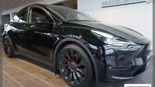 TESLA Model Y AWD PERFORMANCE/Navi/Autopilot/Luke/Kam/Key/DAB/2X21"