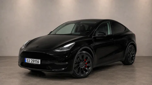 TESLA Model Y PERFORMANCE/BERLIN/1 EIER/ALL BLACK/2x21"