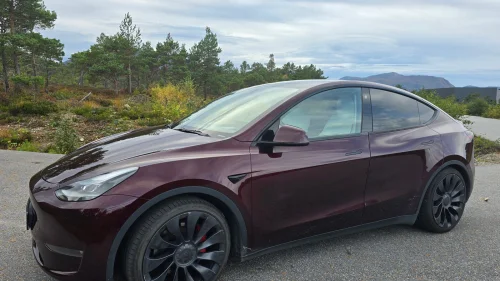 TESLA Model Y Performance AWD