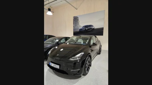 TESLA Model Y Performance AWD