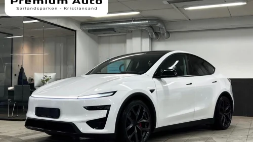 TESLA Model Y Performance AWD/21"/JUNIPER/PANO/MATRIX