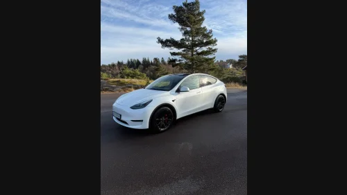 TESLA Model Y Performance AWD