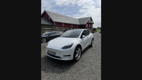 TESLA Model Y
