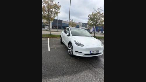 TESLA Model Y Standard Range RWD