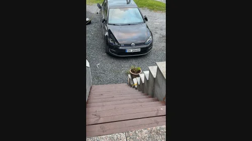 VOLKSWAGEN GOLF Nylig eu!! Kommer bilder og mer info