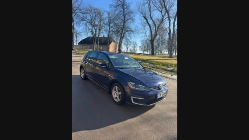 VOLKSWAGEN GOLF E-GOLF EXCLUSIVE 300KM SKINN LED ACTIVE INFO ACC KAMERA