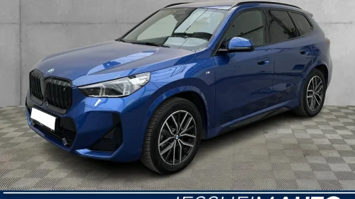 BMW iX1 xDrive30 xDrive30 FULLY M Sport /Skinn/H&K/HUD/H.Feste/BSI