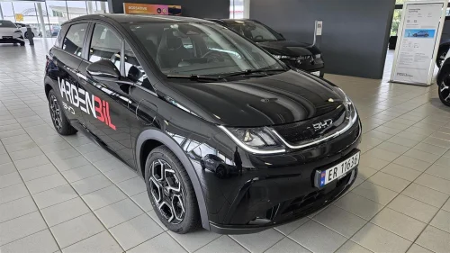 BYD Dolphin Comfort, 427KM, Vinterhjul, Skinn, App