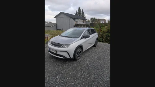 BYD Dolphin Design