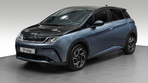 BYD Dolphin Design