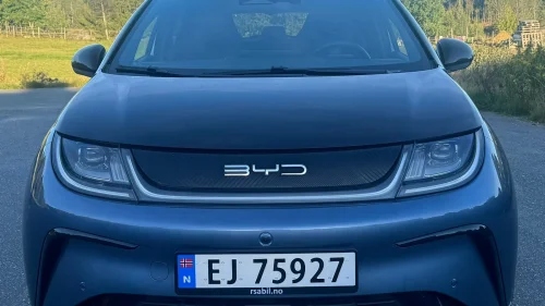 BYD Dolphin Design