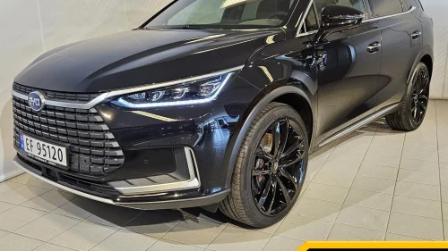 BYD Tang 509 hk Exclusive