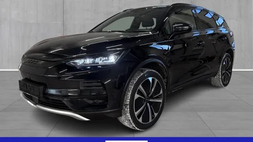 BYD Tang Chrome delete, hengerfeste, 8x21