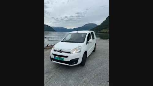 CITROEN BERLINGO Electrique PROFF L1