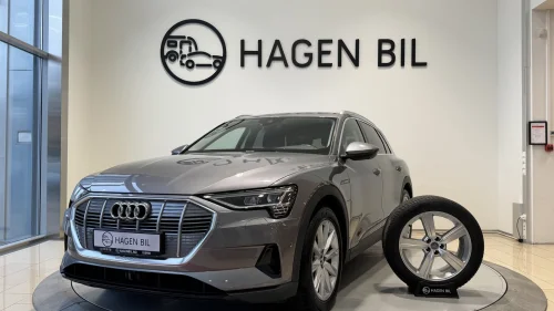 AUDI e-tron 55 / AVT H.FESTE / 4X4 / SKINN / DAB+ / NAVI R.KAMERA