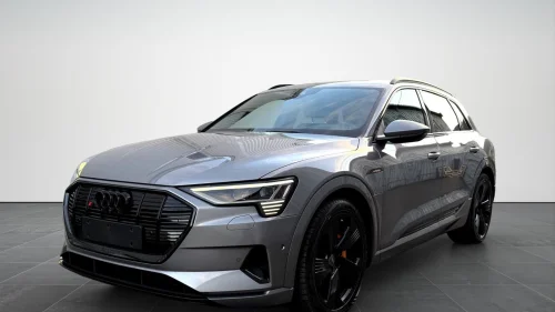 AUDI e-tron 55/B&O/Head-Up/ACC/360/H.feste/Skinn/Luft/Pano/Matrix