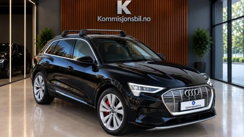 AUDI e-tron e-tron 55 Limited | TOPPUTSTYRT-Panorama-HUD
